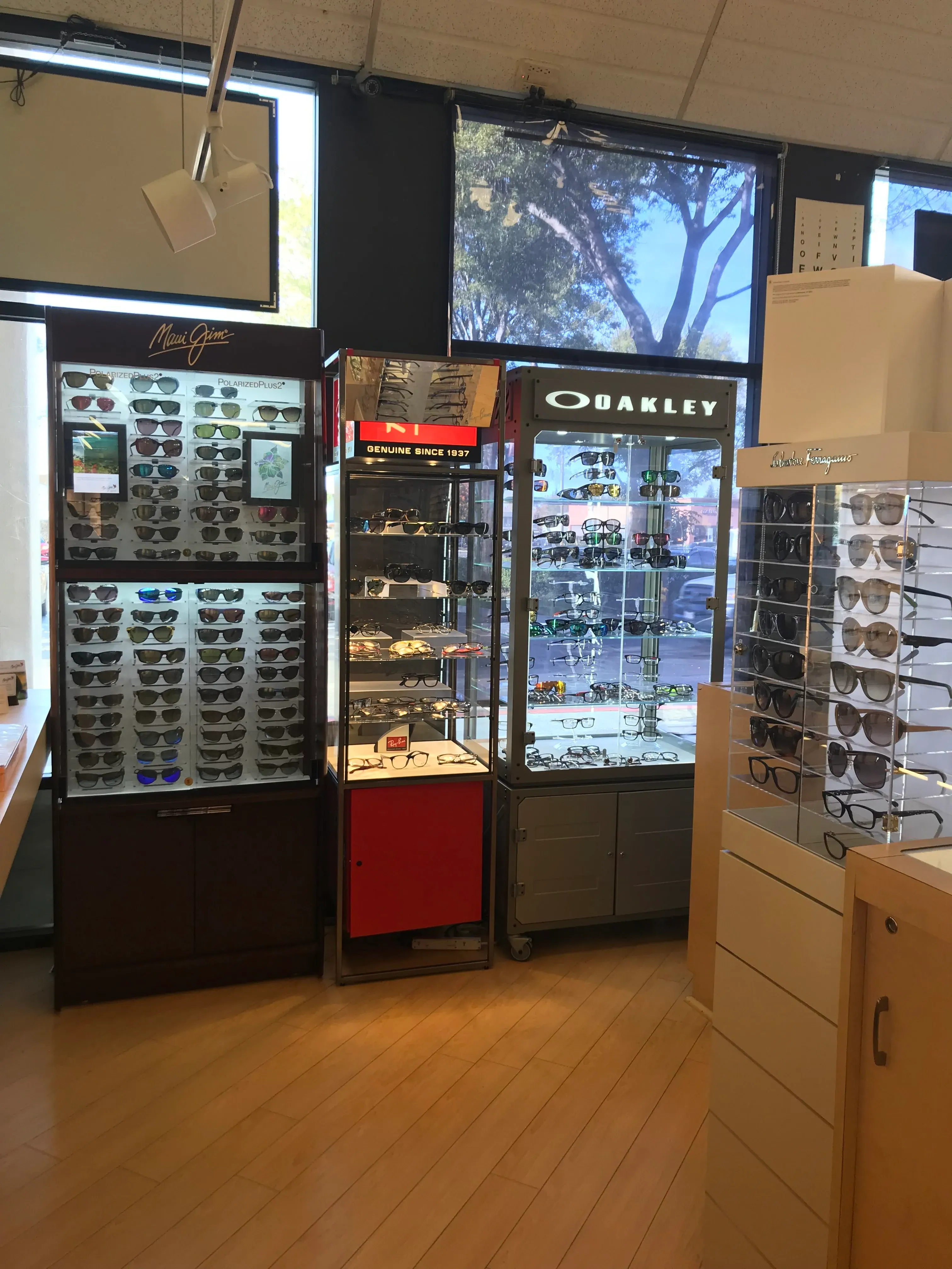 Interior view of Site for Sore Eyes - Fremont showcasing a variety of eyewear displays, including brands like Maui Jim, Ray-Ban, and Oakley, against the backdrop of large windows.